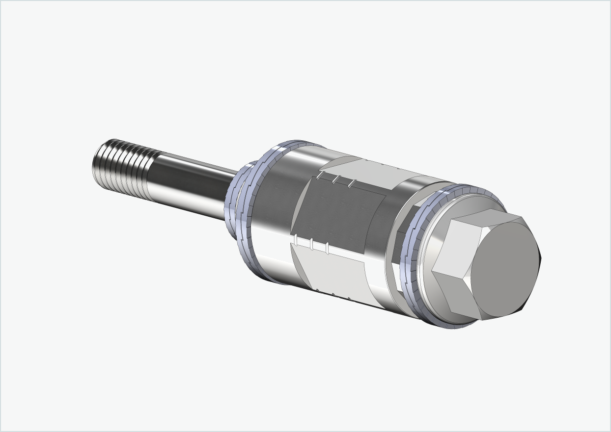 Adattatore Polygon per HASE PINO con Rohloff Speedhub A12 | adatto per frizioni Weber tipo: E - EL - ES