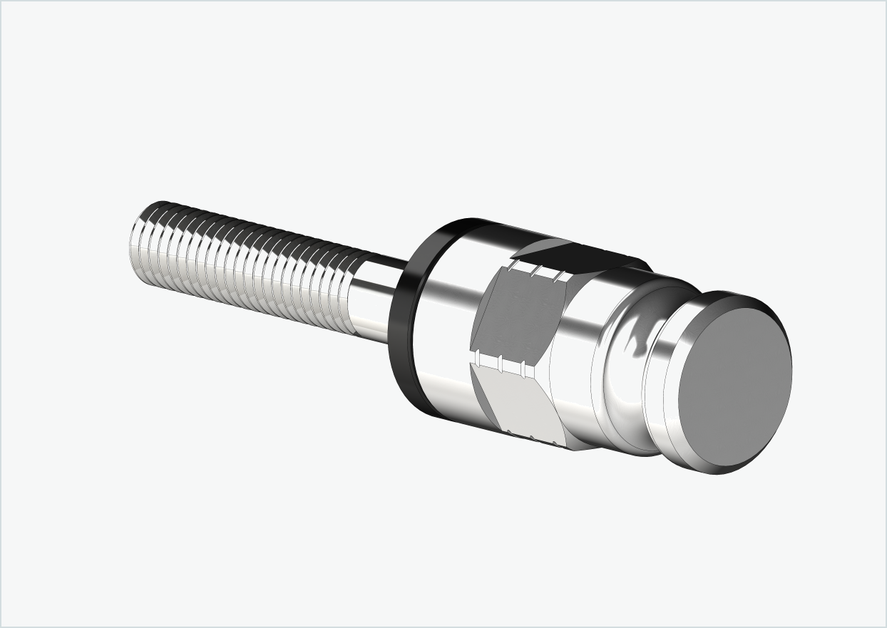 Adattatore per mozzi Enviolo dal 2024 | adatto a Leggero con sistema BECCO